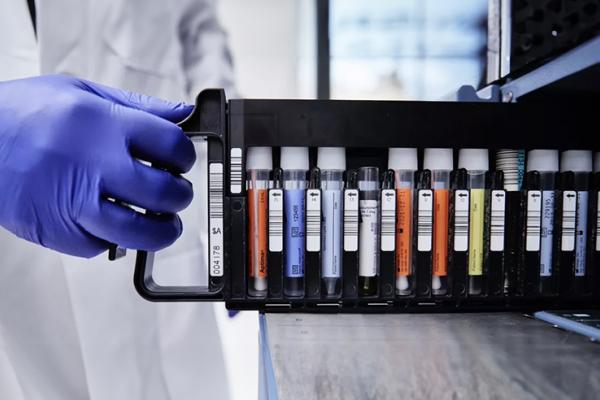 PCR tests in a rack held by a hand wearing gloves.